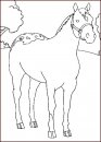 coloring_pages/horses/horses_40.jpg