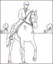 coloring_pages/horses/horses_42.jpg