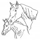 coloring_pages/horses/horses_55.jpg