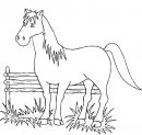 coloring_pages/horses/horses_76.jpg