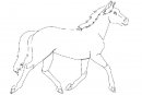 coloring_pages/horses/horses_77.jpg