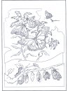 coloring_pages/spring/spring_03.jpg