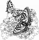 coloring_pages/spring/spring_22.gif