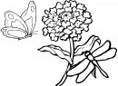 coloring_pages/spring/spring_24.gif