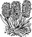 coloring_pages/spring/spring_38.jpg