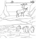 coloring_pages/zoo/zoo_026.JPG