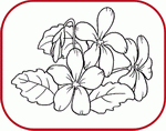 coloring pages flowers