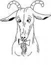 coloring_pages/animals_farm/aries_2.jpg