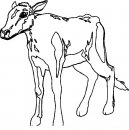 coloring_pages/animals_farm/donkey_24.JPG