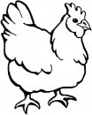 coloring_pages/animals_farm/hen_2.jpg