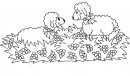 coloring_pages/animals_farm/lambs.jpg
