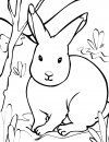 coloring_pages/animals_farm/rabbit.jpg