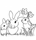 coloring_pages/animals_farm/rabbits.jpg