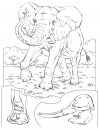coloring_pages/animals_of_the_savanna/elephant.JPG