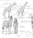 coloring_pages/animals_of_the_savanna/savanna_2.JPG