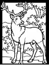 coloring_pages/animals_of_the_wood/color-deer1.JPG
