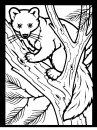 coloring_pages/animals_of_the_wood/color-pinemartin.JPG