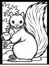 coloring_pages/animals_of_the_wood/color-squirrel.JPG