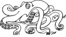 coloring_pages/aquatic_animals/Octopus.JPG