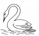 coloring_pages/aquatic_animals/swan.JPG