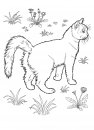 coloring_pages/cats/cat_10.jpg