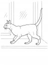 coloring_pages/cats/cat_13.jpg