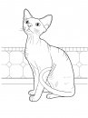coloring_pages/cats/cat_29.jpg