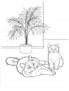 coloring_pages/cats/cat_30.jpg