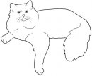 coloring_pages/cats/cat_55.jpg
