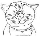 coloring_pages/cats/cat_77.gif
