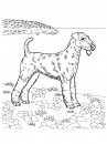coloring_pages/dog/dog_coloring_pages.jpg