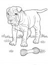 coloring_pages/dog/dog_coloring_pages_2.jpg