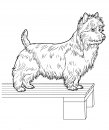 coloring_pages/dog/dog_coloring_pages_23.jpg