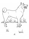 coloring_pages/dog/dog_coloring_pages_26.jpg