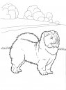 coloring_pages/dog/dog_coloring_pages_3.jpg