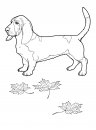 coloring_pages/dog/dog_coloring_pages_33.jpg