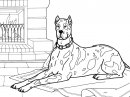 coloring_pages/dog/dog_coloring_pages_35.jpg