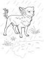 coloring_pages/dog/dog_coloring_pages_4.jpg