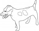 coloring_pages/dog/jack_russell_terrier.jpg
