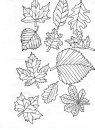 coloring_pages/fall/fall_autumn_32.JPG