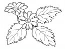 coloring_pages/flowers/flowers_00.JPG