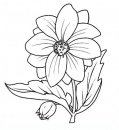 coloring_pages/flowers/flowers_06.JPG