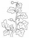 coloring_pages/flowers/flowers_07.JPG