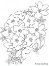coloring_pages/flowers/flowers_23.JPG