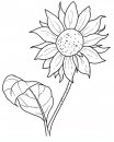 coloring_pages/flowers/flowers_31.JPG