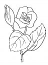 coloring_pages/flowers/flowers_44.JPG
