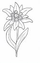 coloring_pages/flowers/flowers_47.JPG