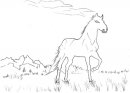 coloring_pages/horses/horses_15.jpg