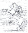 coloring_pages/horses/horses_17.jpg