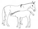 coloring_pages/horses/horses_23.jpg